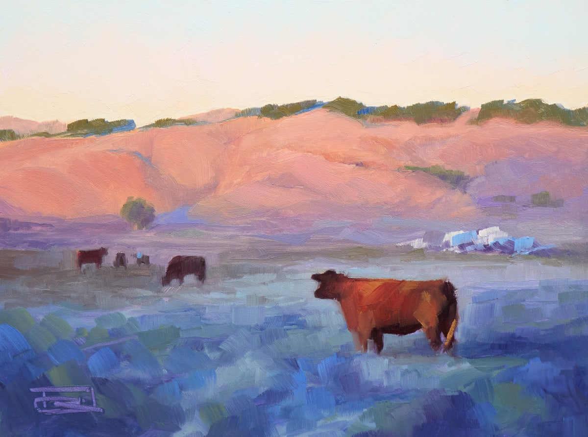 Tolay Happy Hour by Dan Rogers 