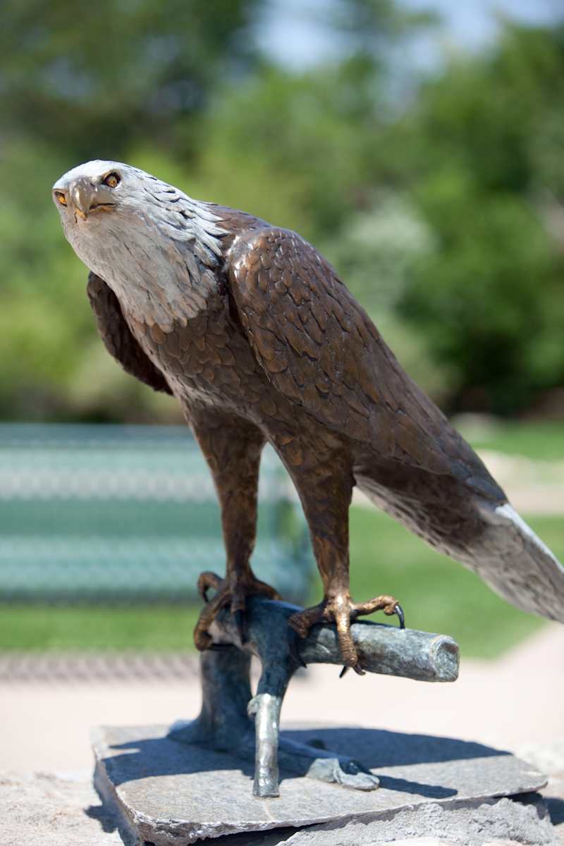 Patient Warrior (Permanent Public Art) by Christopher Romero  Image: Christopher Romero is an artist and resident of Thornton Colorado who has several public pieces of art on display throughout Metro Denver. This stunning bronze statue of an American Bald Eagle entitled “Patient Warrior” is proudly displayed at Living Wheel Park.