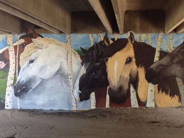 Parker Stampede (Paint Parker Mural) by Lutheran High School Art Students  Image: Lutheran High School art teacher Mark Hollenback oversaw the project painted by students: Kent Harris, Keziah Beyene, Daniel Ness, Taylor Budnack, Jacob Dillon, Mathew Fasone, Darcen McCampbel, Maddie Sauerbreit, Molly Cadmen and Clara Tate. The mural took more than 250 hours to complete over the summer of 2015. The mural of galloping horses is on the Newland Gulch underpass over Lincoln Avenue. 