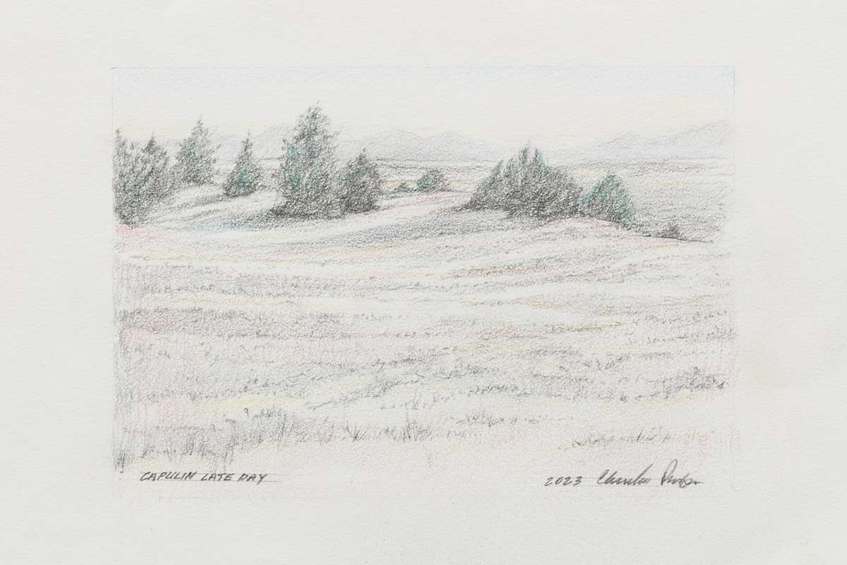 Capulin Late Day by Charles Parson 
