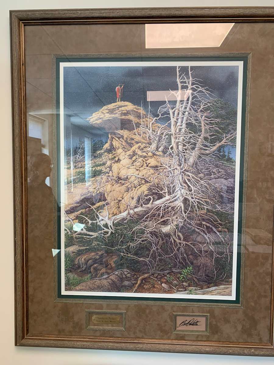 Native American on Rock by Bev Doolittle, Image 1.