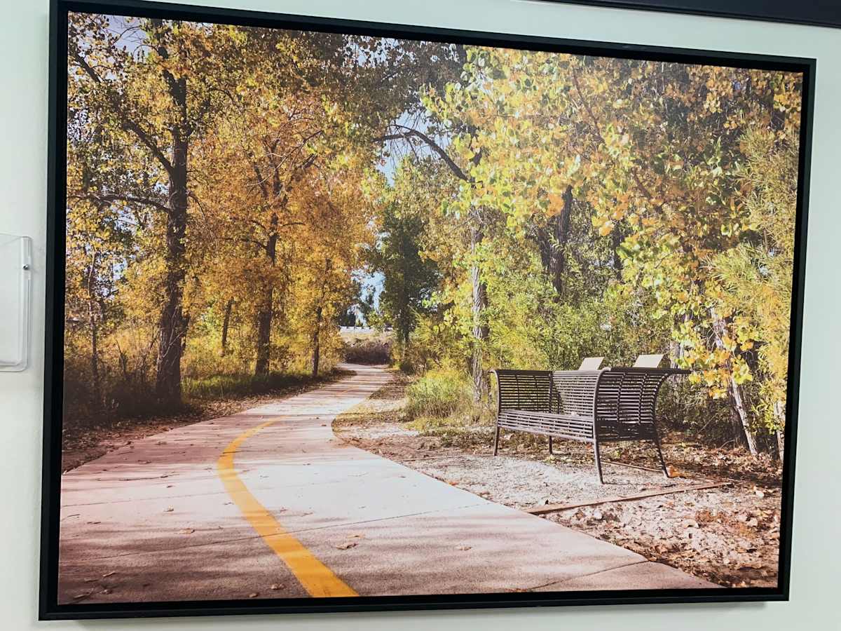 Bench on Trail by John Ott 