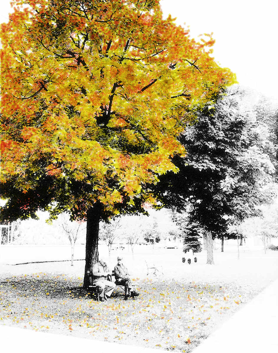 Whittling the Day Away by Tom Kerkhoff  Image: Whittling the Day Away by Tom Kerkhoff