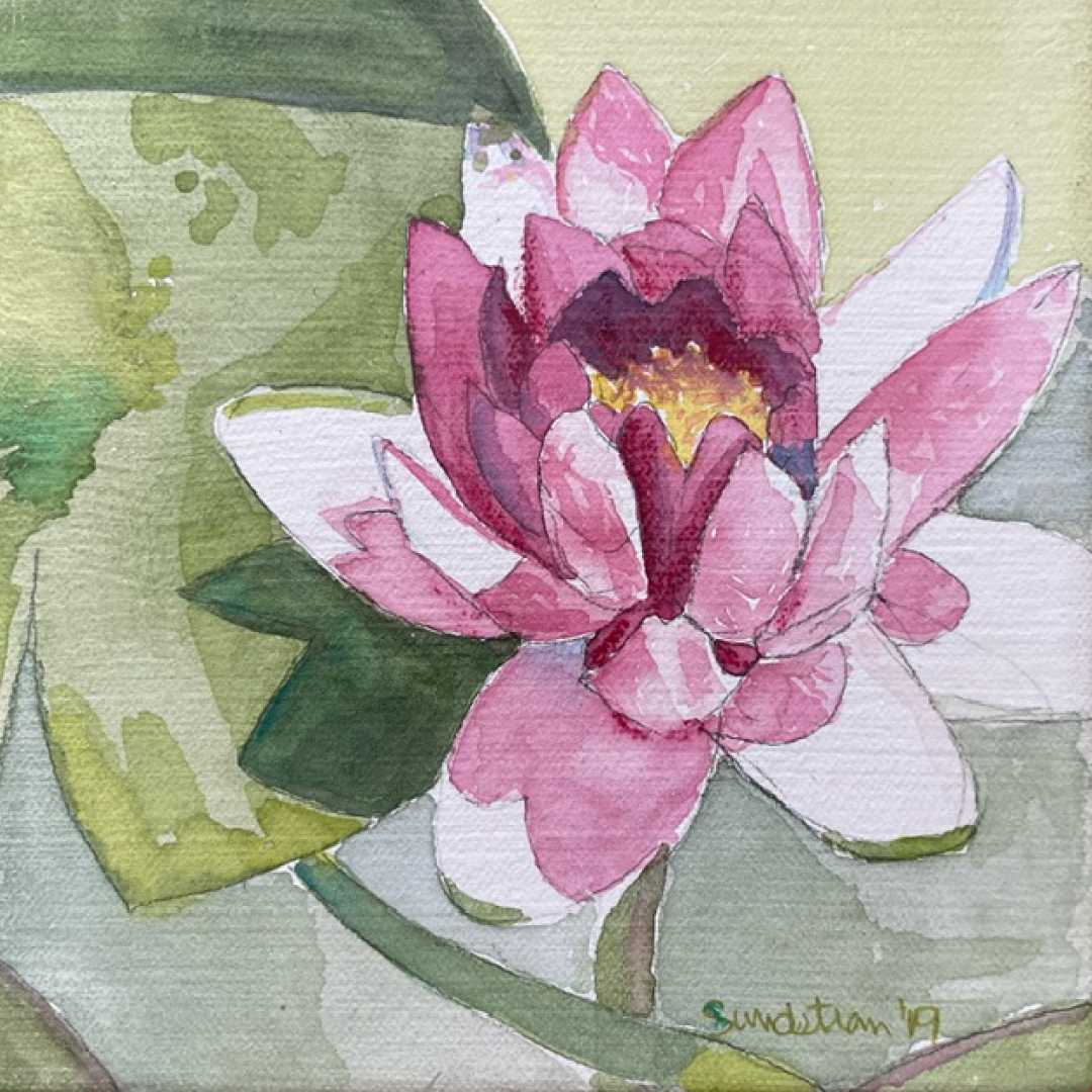 Waterlily by Sue Sundstrom 