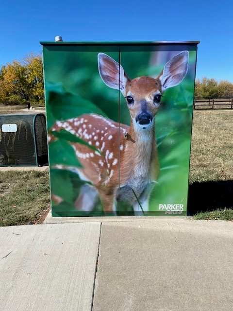 Utility Wrap - Oh Deer (Railbender Park Tennis Courts) 