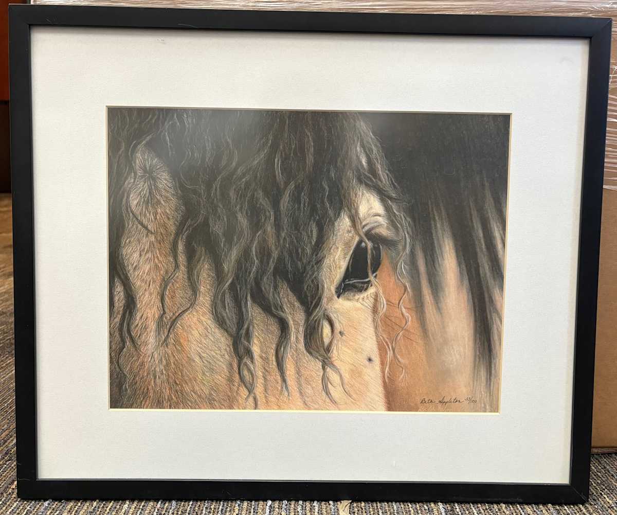 Untitled, sepia toned horse head by Beth Appleton 