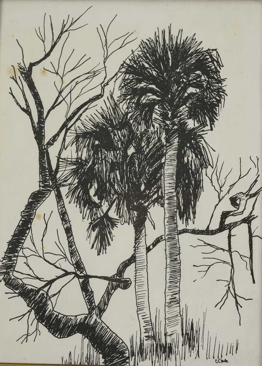 Palms in Black and White by Gary Clark 