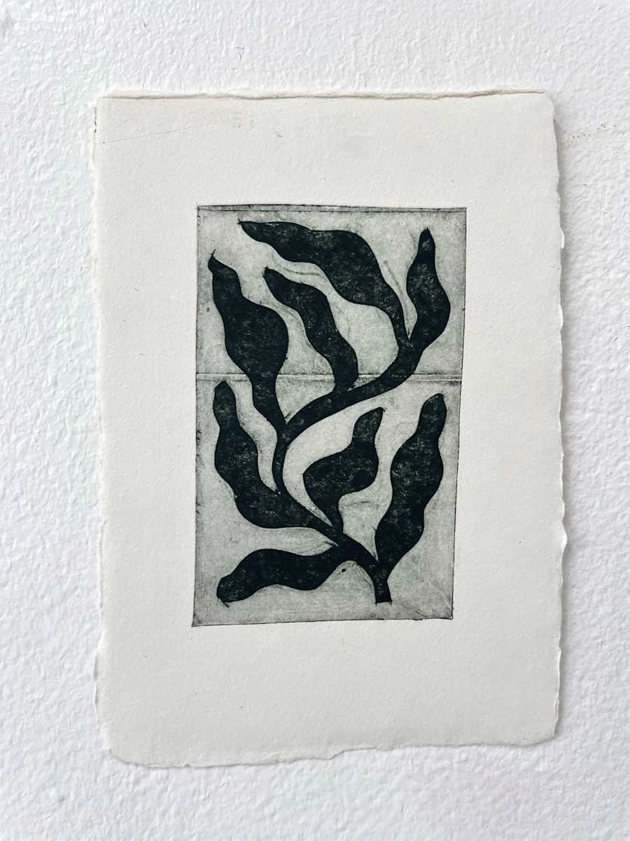 Growth by Rose Jaffe 