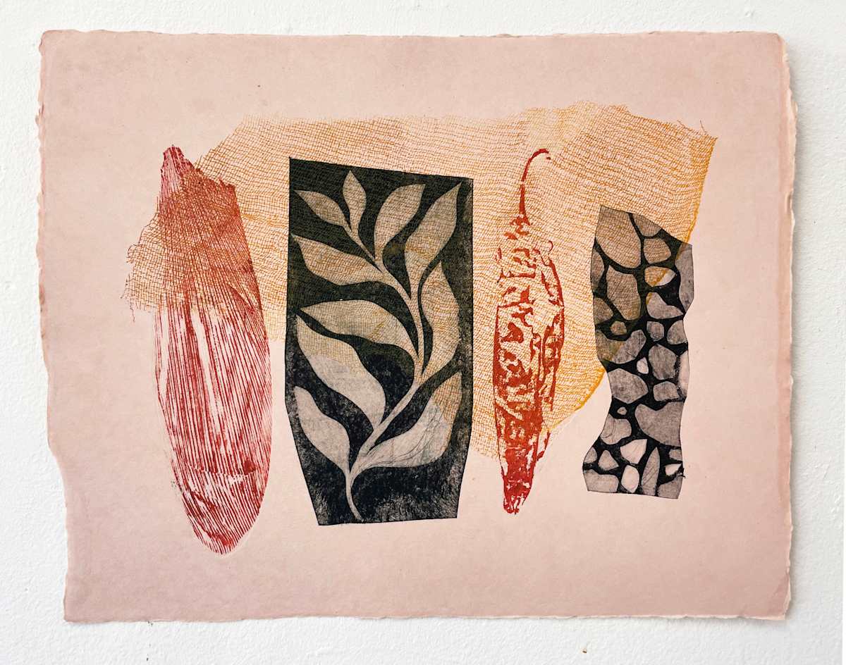 Seed & Stone by Rose Jaffe 