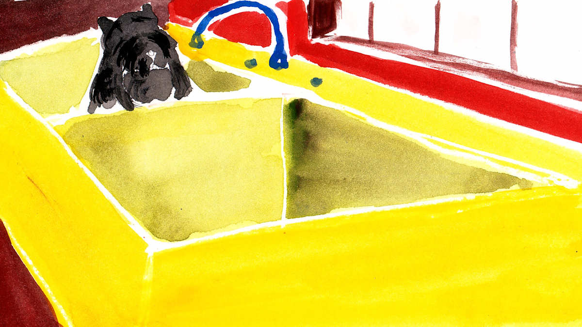 40 Dog by Sarah Jane Lapp 
