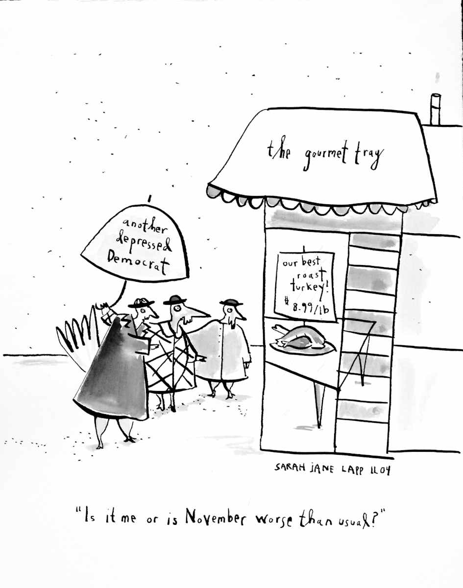 Another Depressed Democrat by Sarah Jane Lapp 