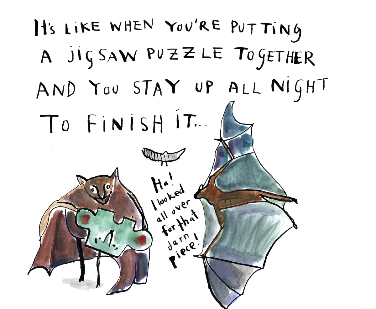 Bat jigsaws all night by Sarah Jane Lapp 