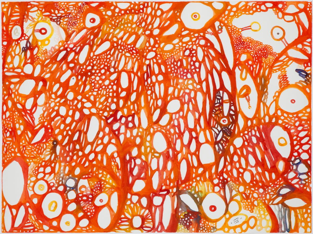 Gravlax by Sarah Jane Lapp 