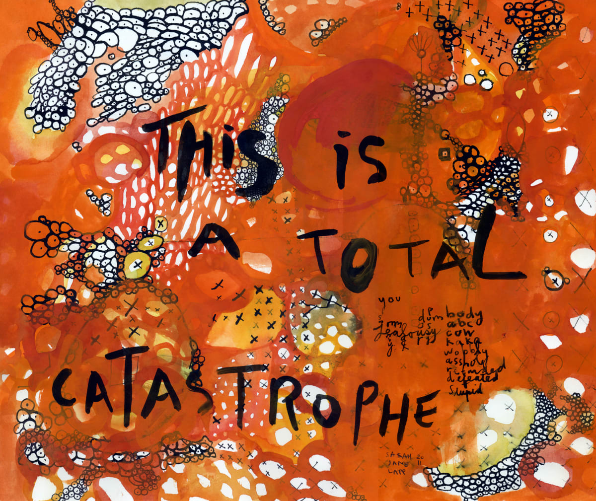 This is a total catastrophe by Sarah Jane Lapp 