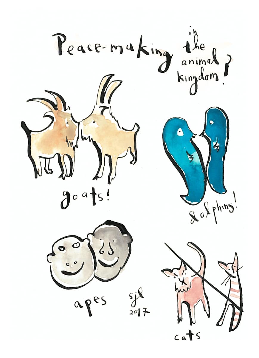 Peacemakers in the Animal Kingdom by Sarah Jane Lapp 
