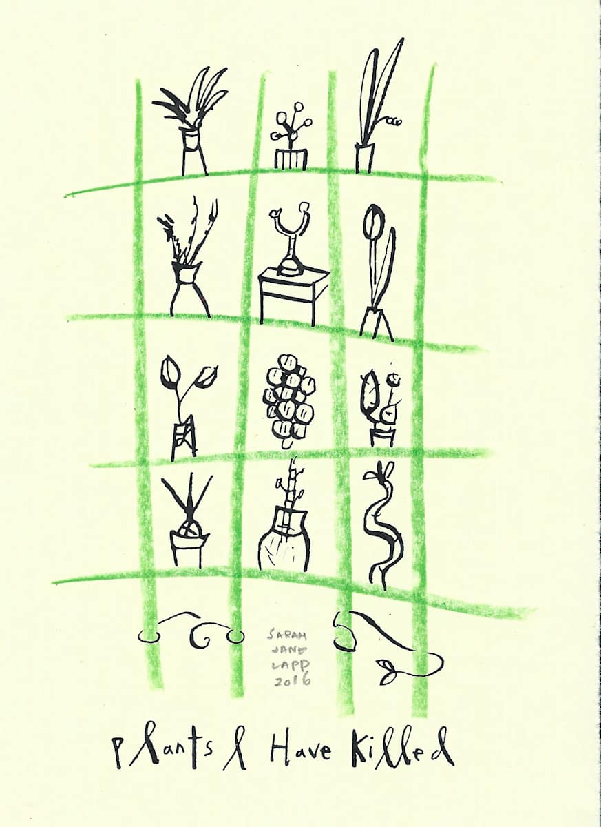 Plants I Have Killed by Sarah Jane Lapp 