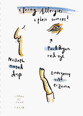 Spring Allergies by Sarah Jane Lapp 