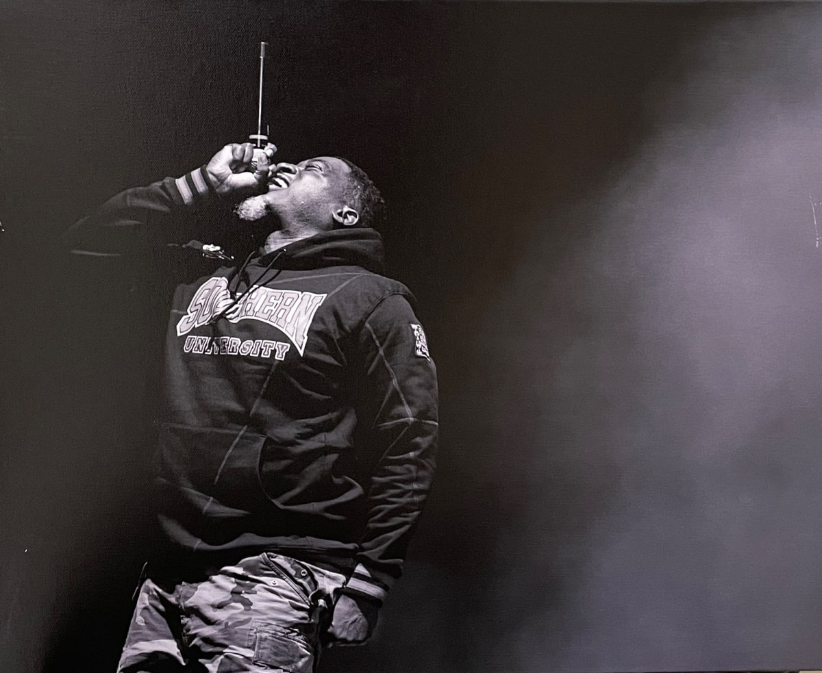 David Banner, Hip Hop Icon by Dokk Savage  Image: https://www.dokksavagephotography.com