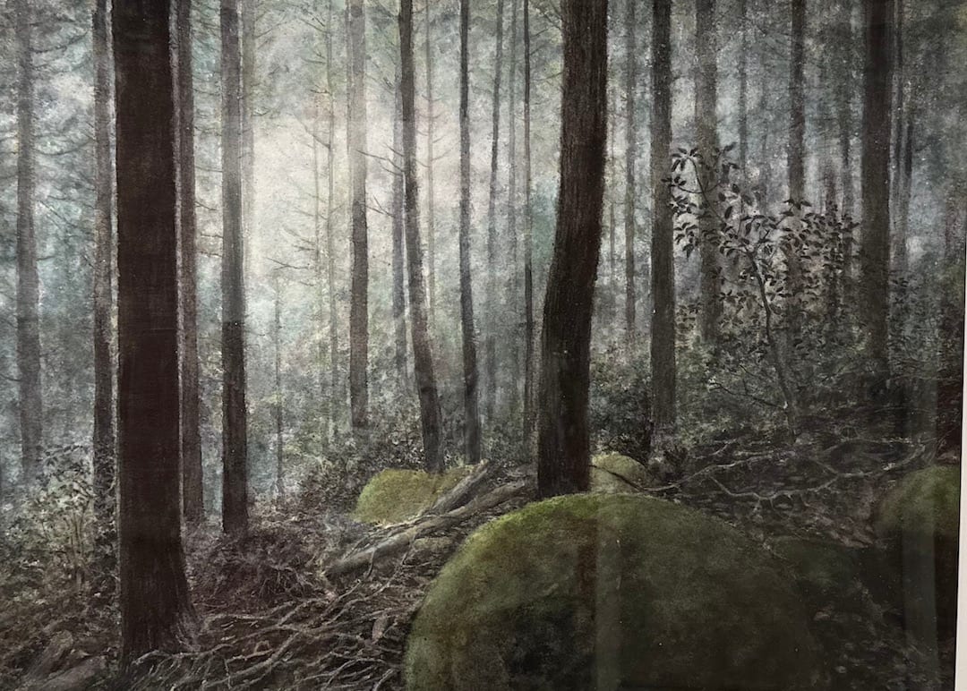 Forest in Japan by Yuri Ozaki 