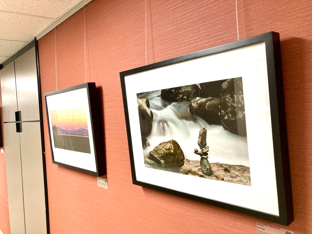 Exhibition Image