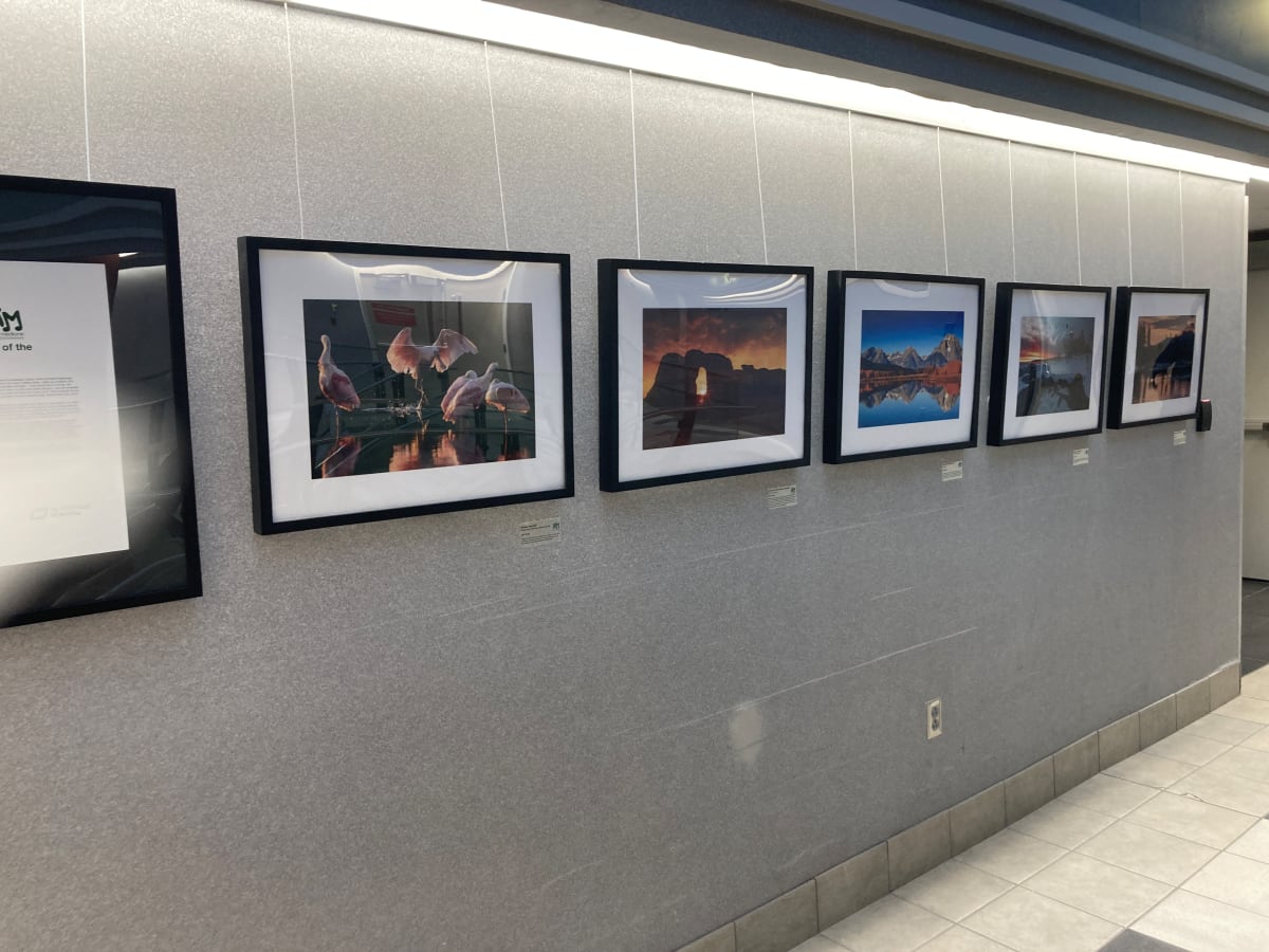 Exhibition Image