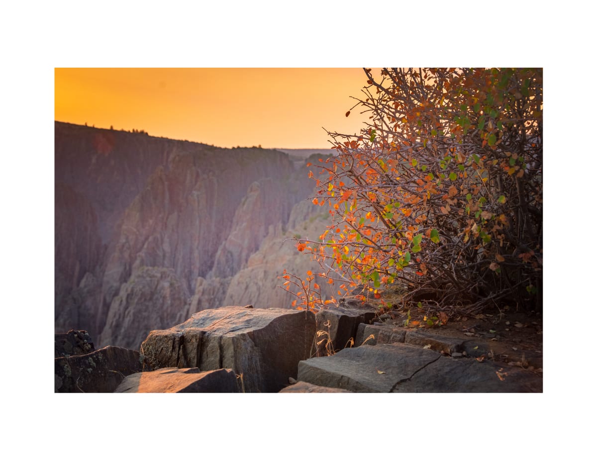 Black Canyon of the Gunnison National Park (Colorado) by Margaret Todd  Image: Sitting on the rim of this canyon in the warm light, thoughts slow and muscles relax.  Quiet and awe wraps around me like a shawl.  And it’s in this moment that I can, as Henri Nouwen put it, hear God “call me by name and speak to me a word of peace.”