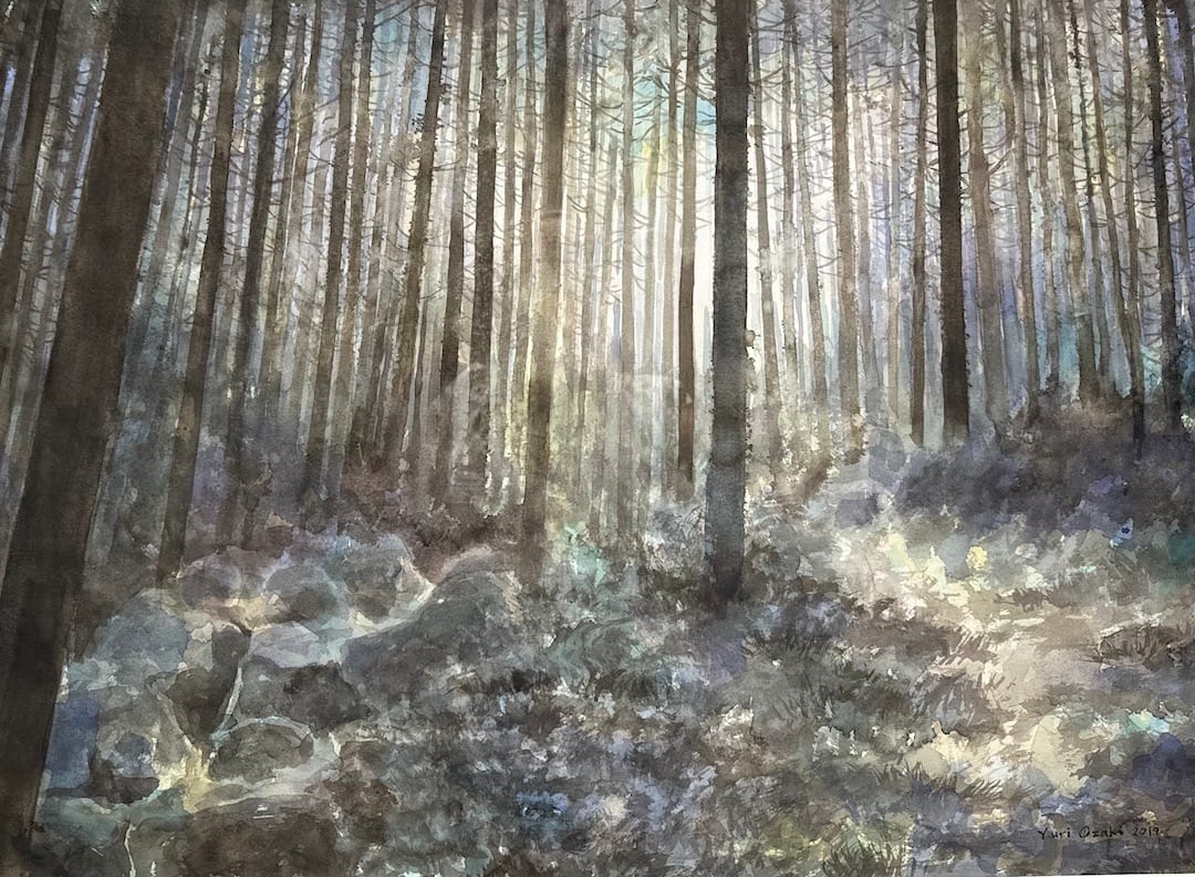 Owase Forest (Japan) by Yuri Ozaki 