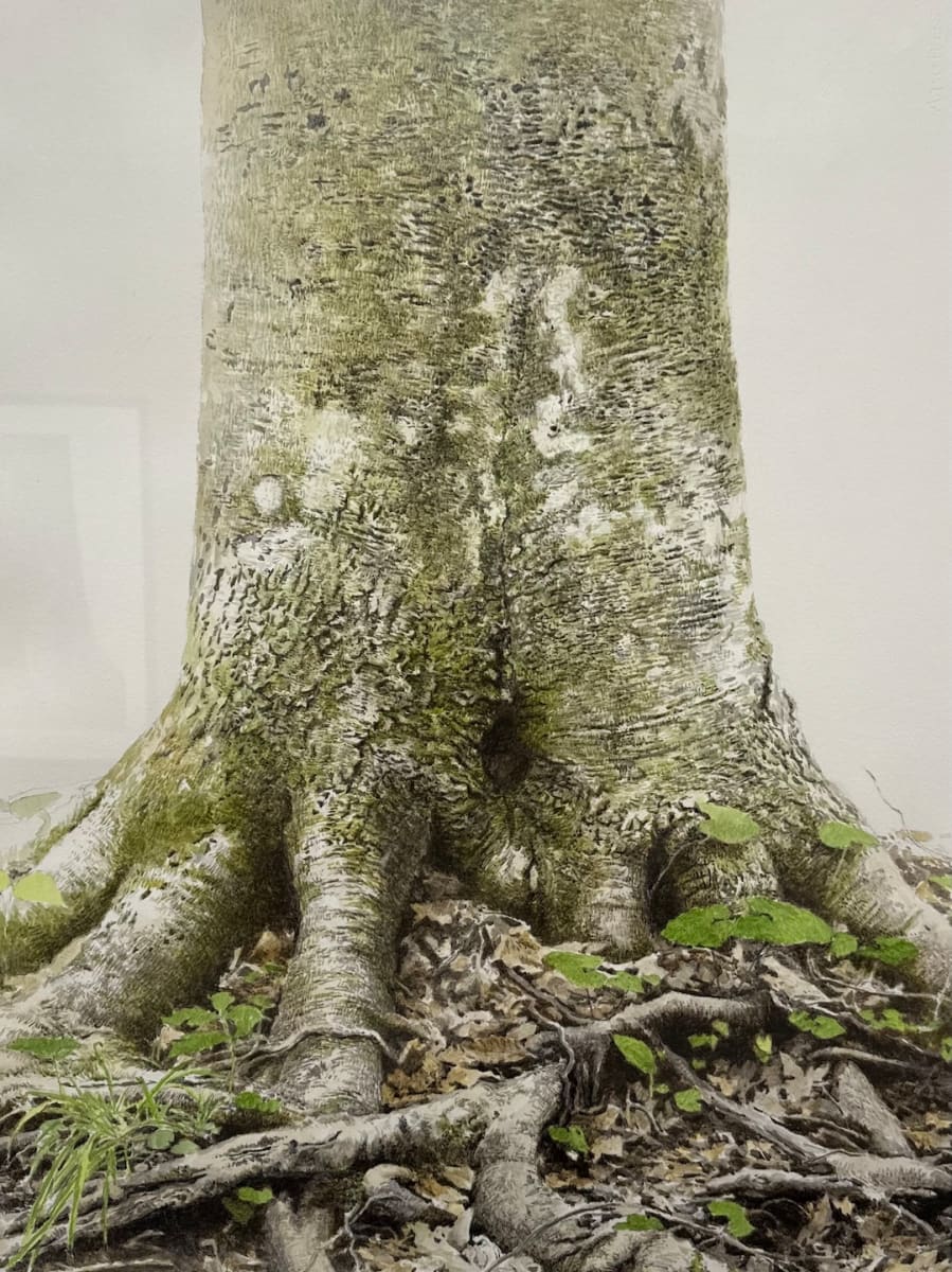Tree #11 by Yuri Ozaki 