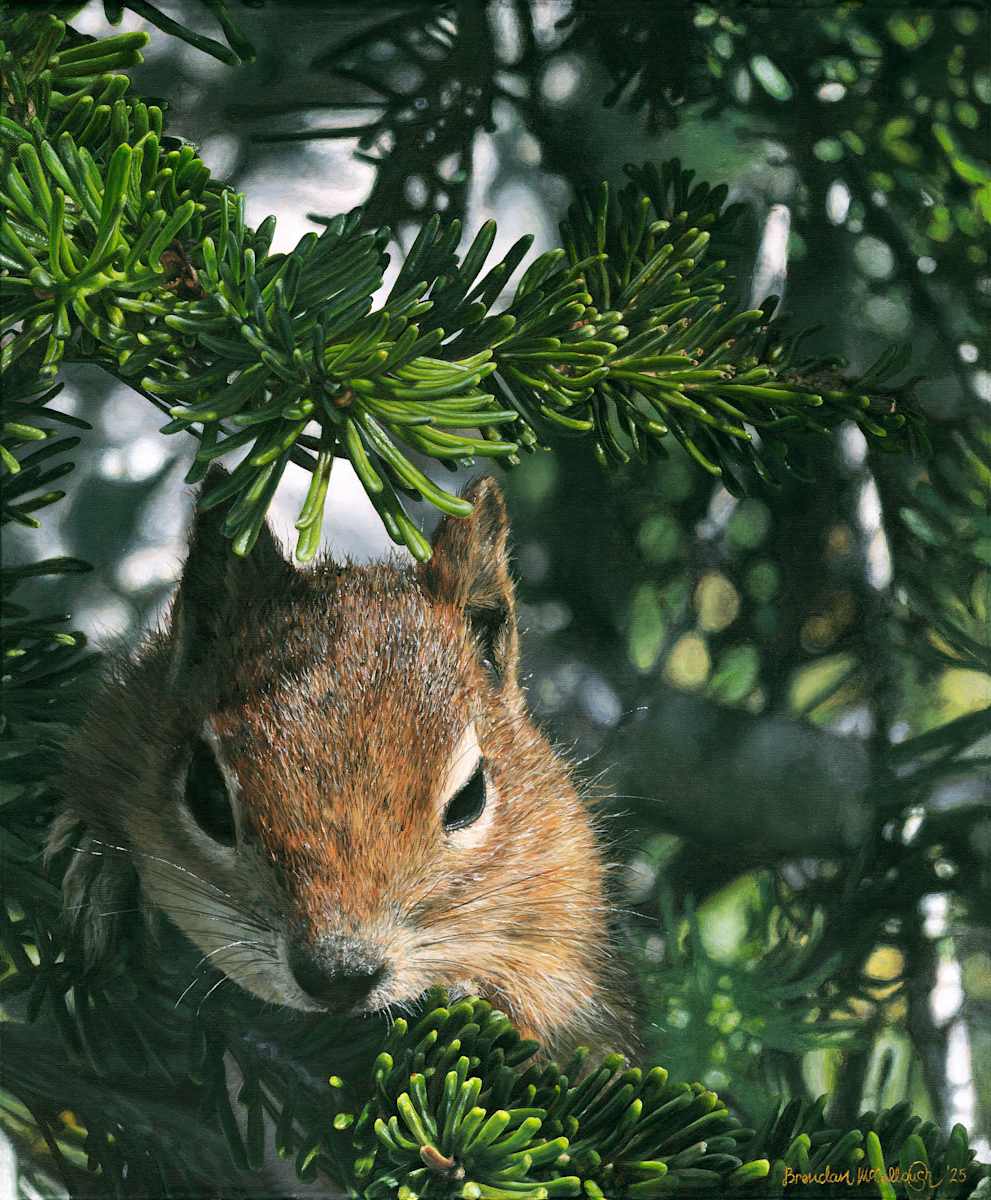 A Curious Friend by Brendan McCullough  Image: Full view