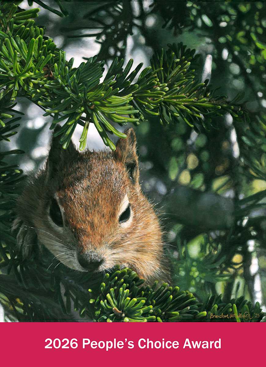 A Curious Friend by Brendan McCullough, Image 1.