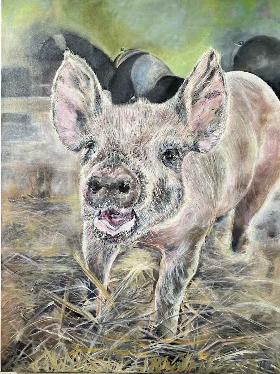 Hungry Pig by Mary Londo, Image 1.