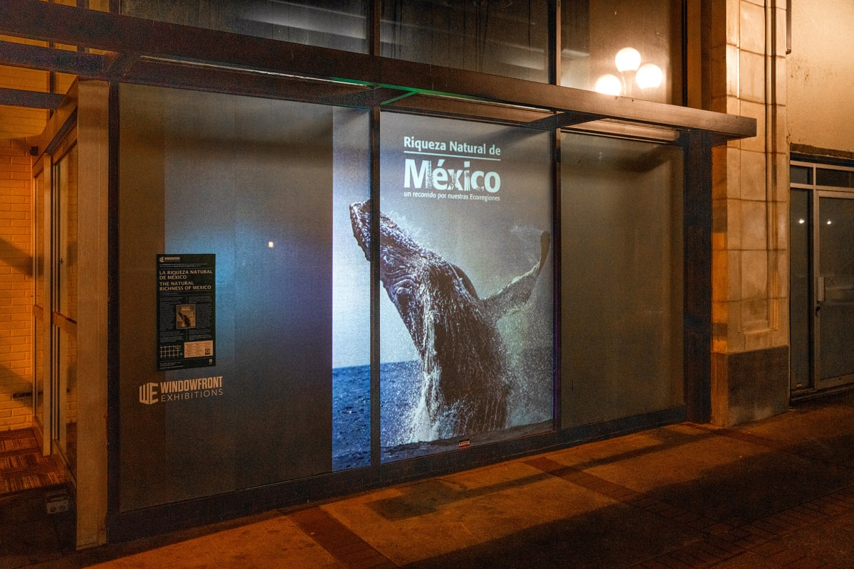 La Riqueza Natural de México 