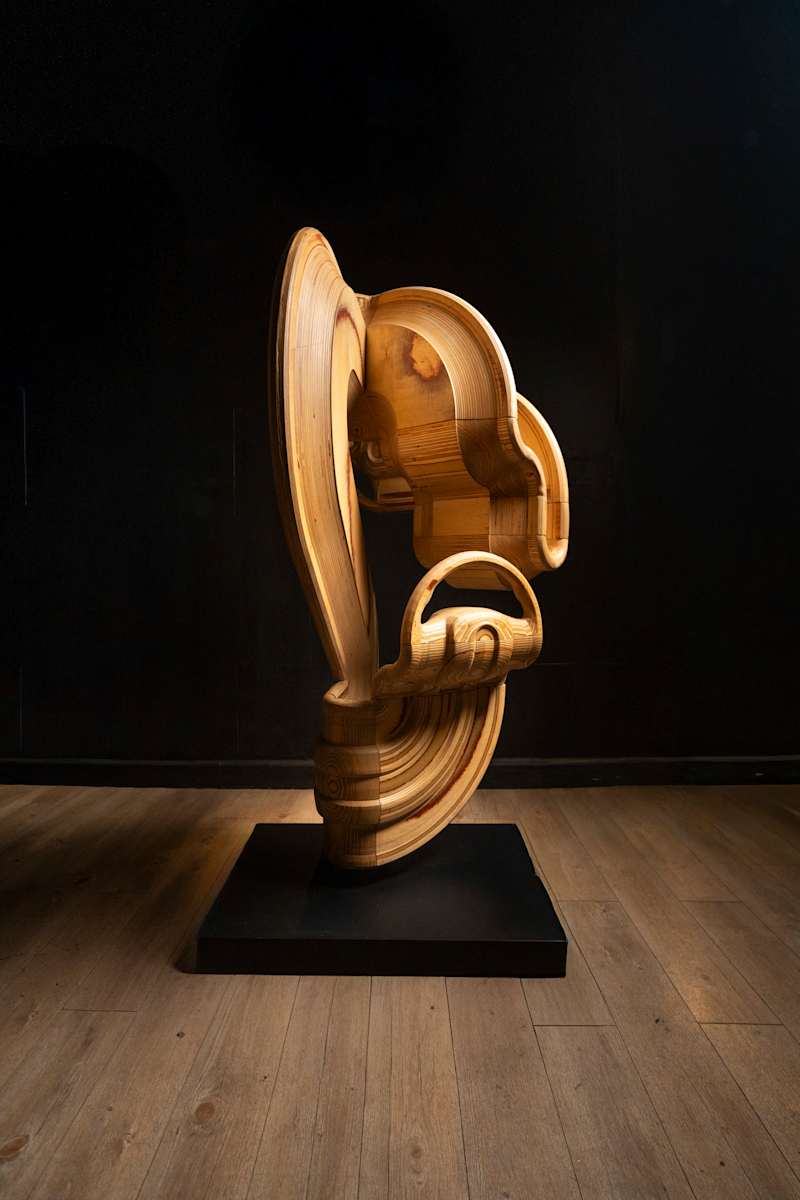 SelfDrivngFreedom. by Otto Martín Moreno, Image 3.