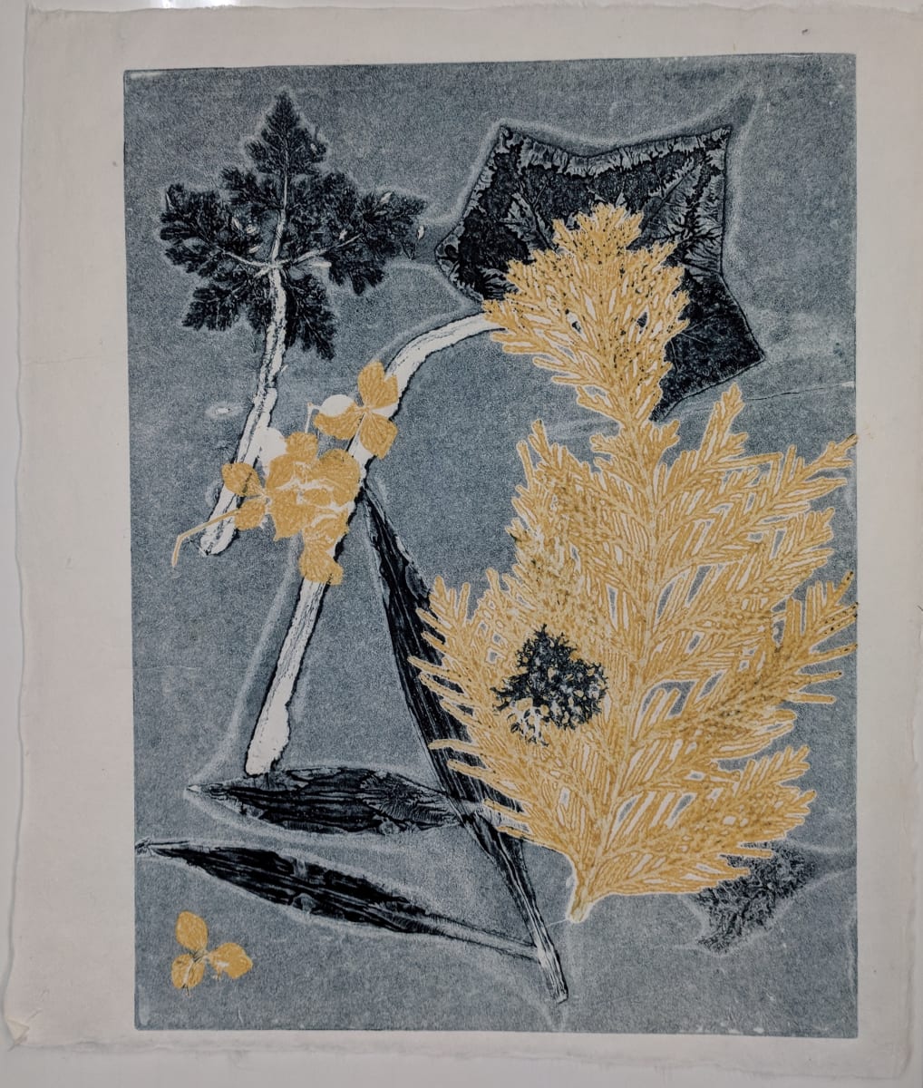 Leaf Mono-Print by John Campbell 
