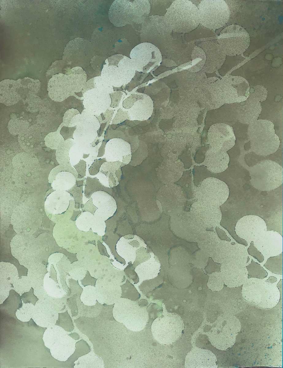 Eucalyptus Shadows IX by Lois Bender, Image 1.