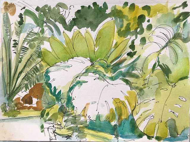 Brooklyn Botanic Garden's Conservatory I by Lois Bender, Image 1.