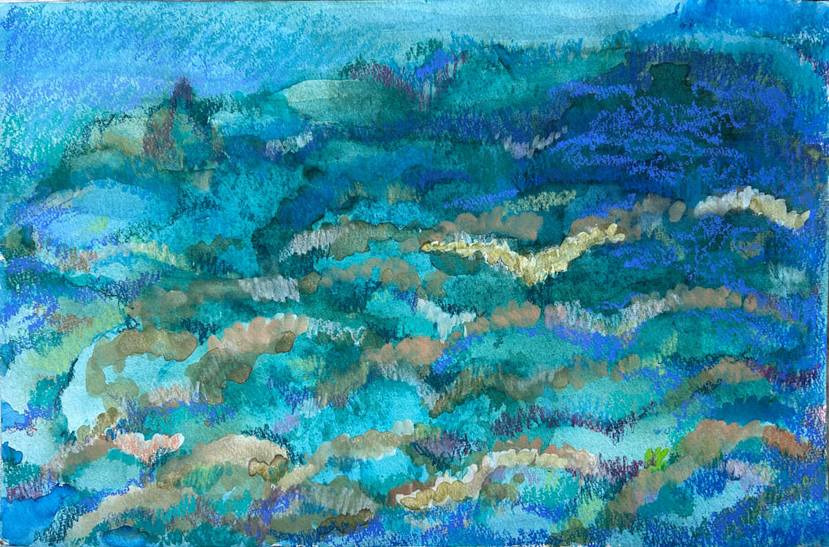Coral Reef Overlook by Lois Bender, Image 1.
