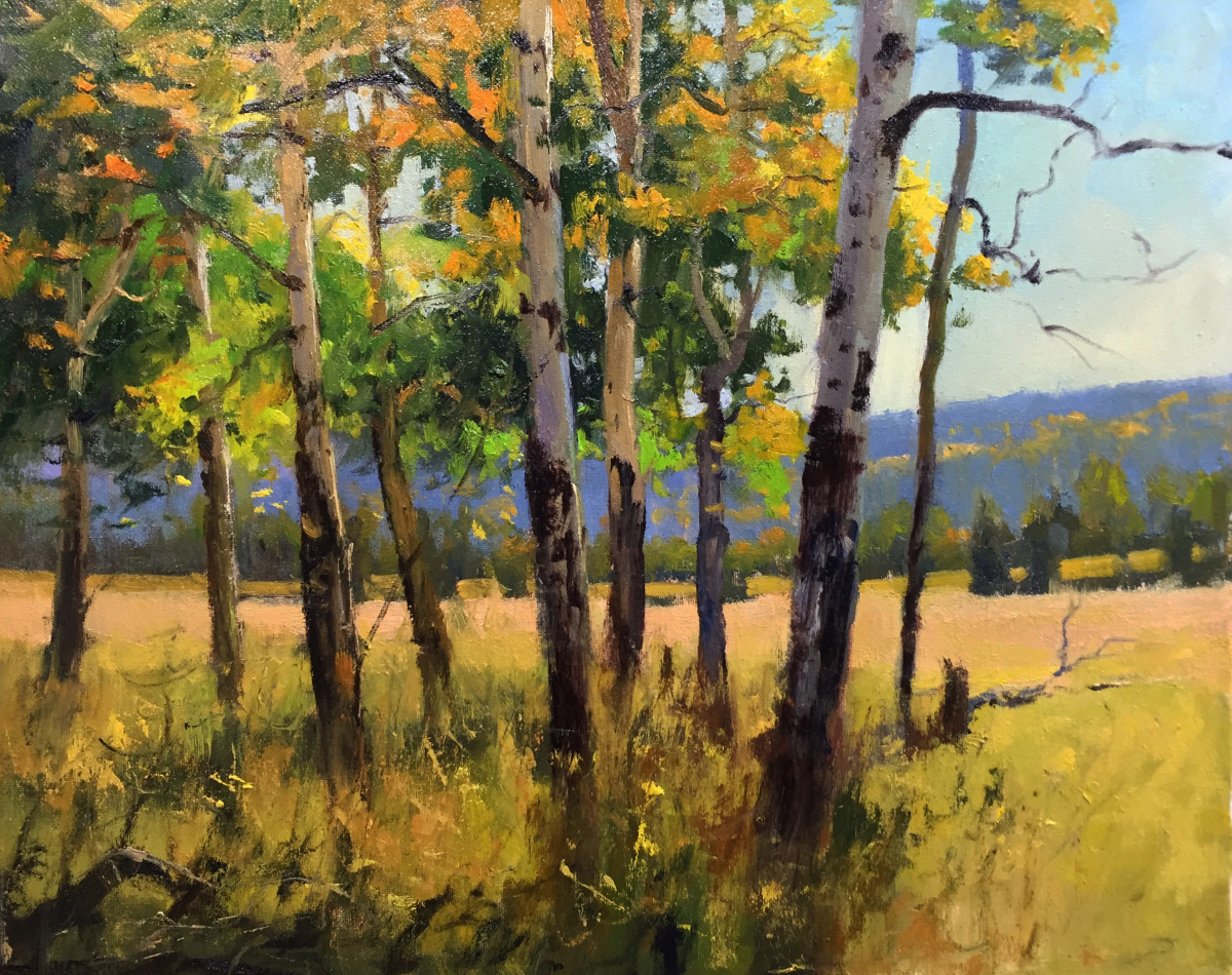Aspens in Transition by Rusty Jones, Image 1.