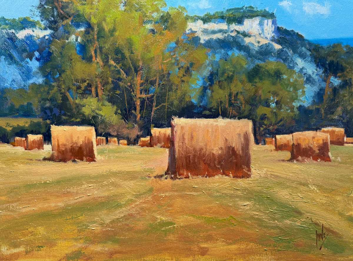Hill Country Bales by Rusty Jones  Image: Hill Country Bales ST11/24-02