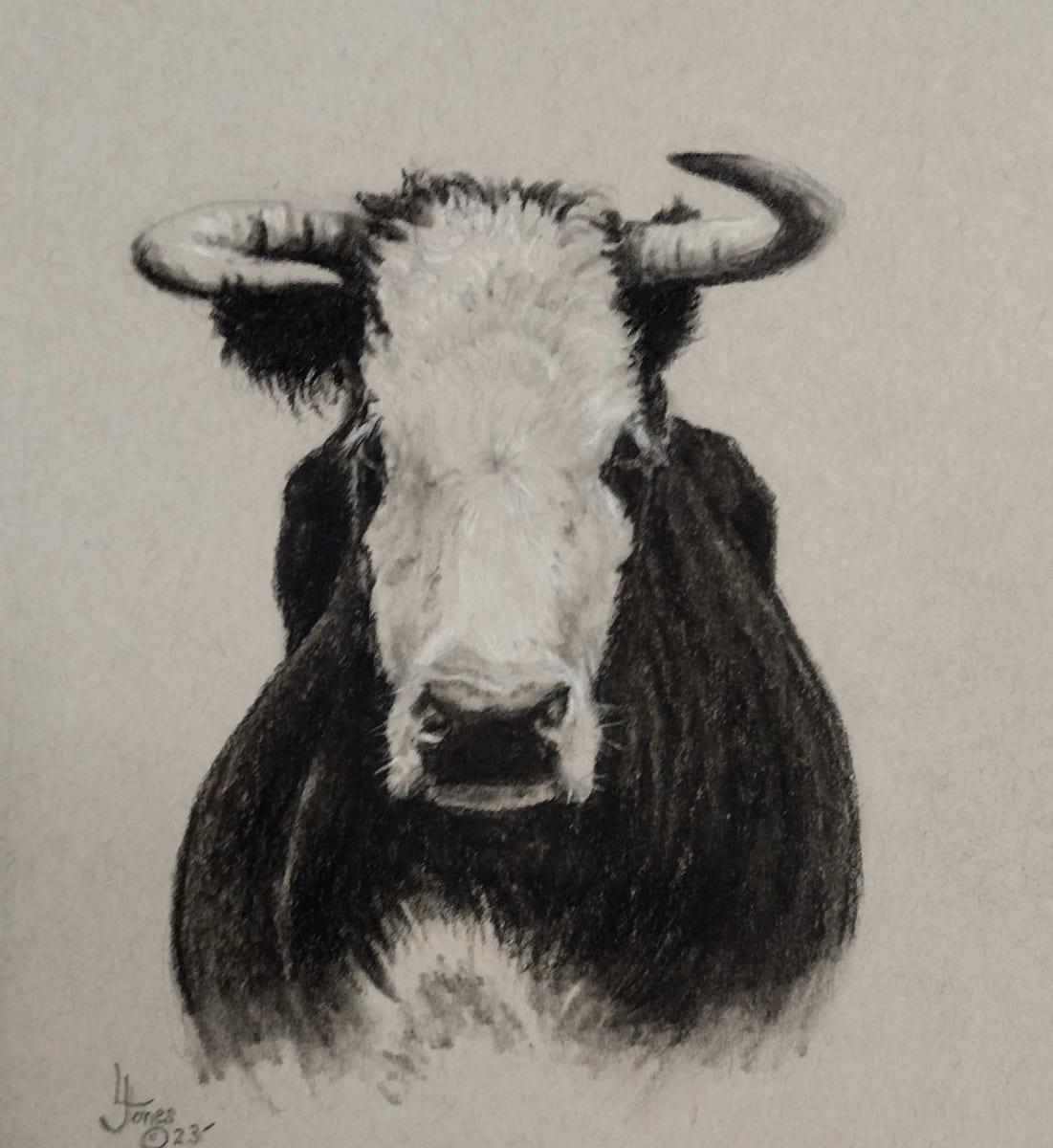 Bossy by Lori Jones  Image: Original charcoal on grey toned paper.