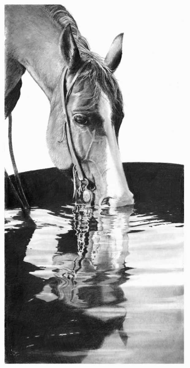 Cool Water by Lori Jones  Image: Quick Draw winner 
 at 2025
 Art of the Cowgirl
Wickenburg, Arizona