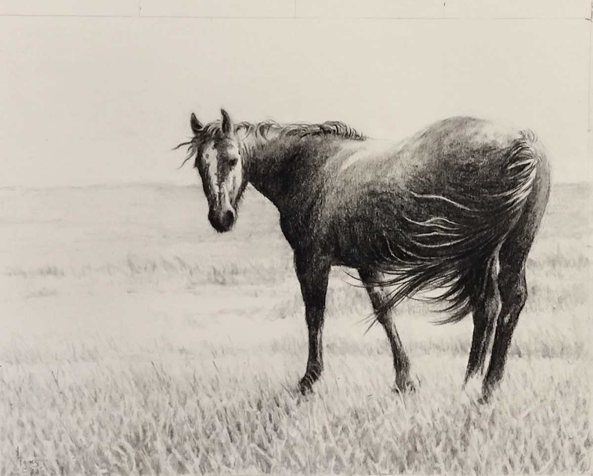 Tail Wind by Lori Jones 