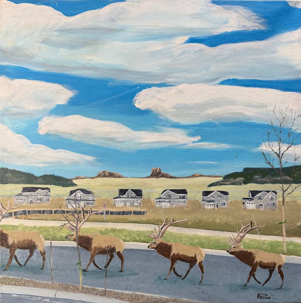 Elkhorn Estates #1 by Grant Pound, Image 1.