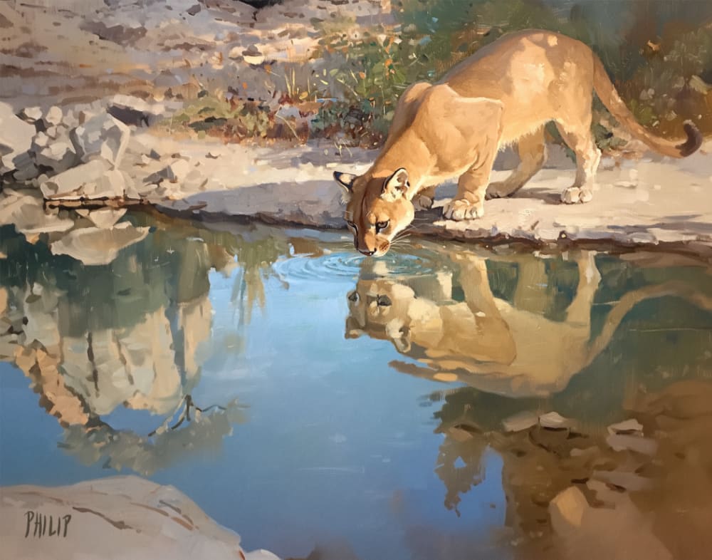 Thirsty Cougar by Michelle Philip 