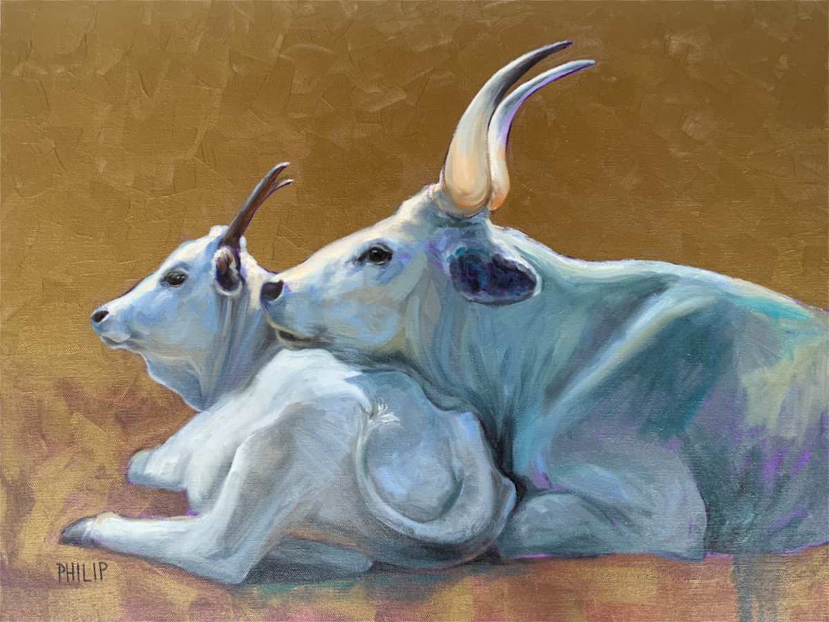 Sacred Cows by Michelle Philip, Image 1.