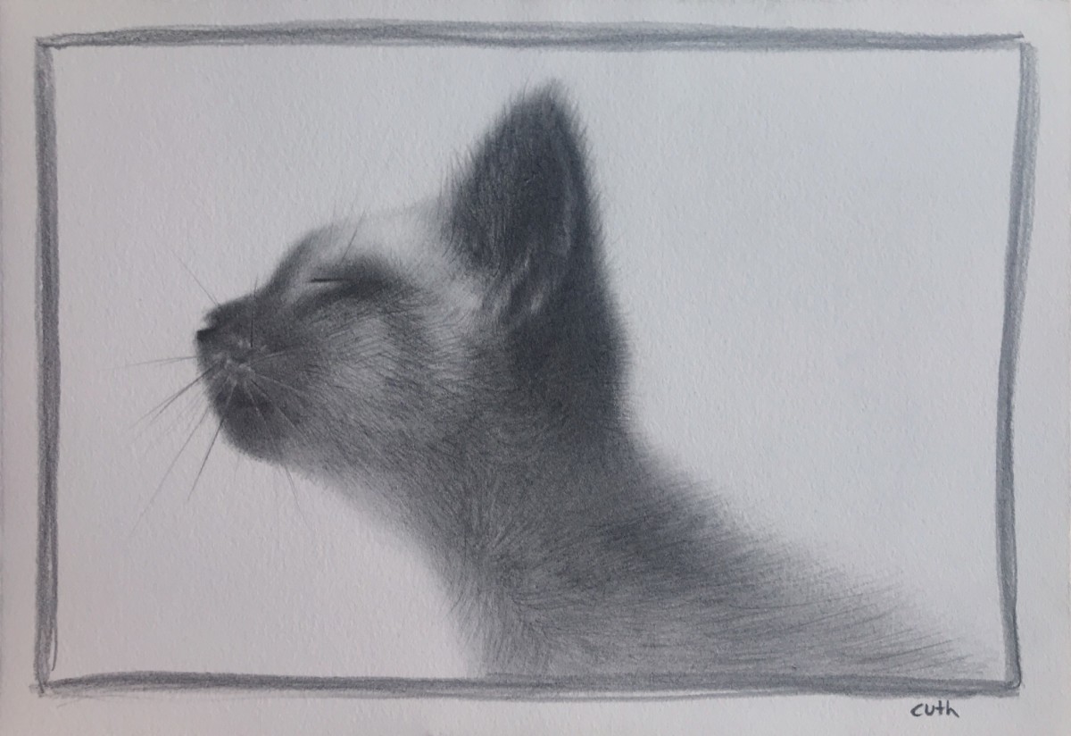 Little Snidling Sniffing The Air of Király St in Budapest by Emese Cuth 