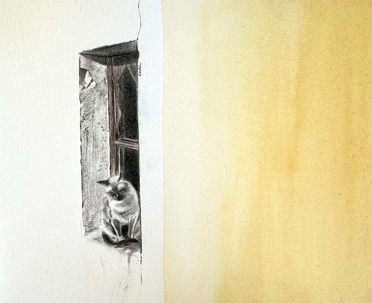 Cat on Windowsill by Emese Cuth 