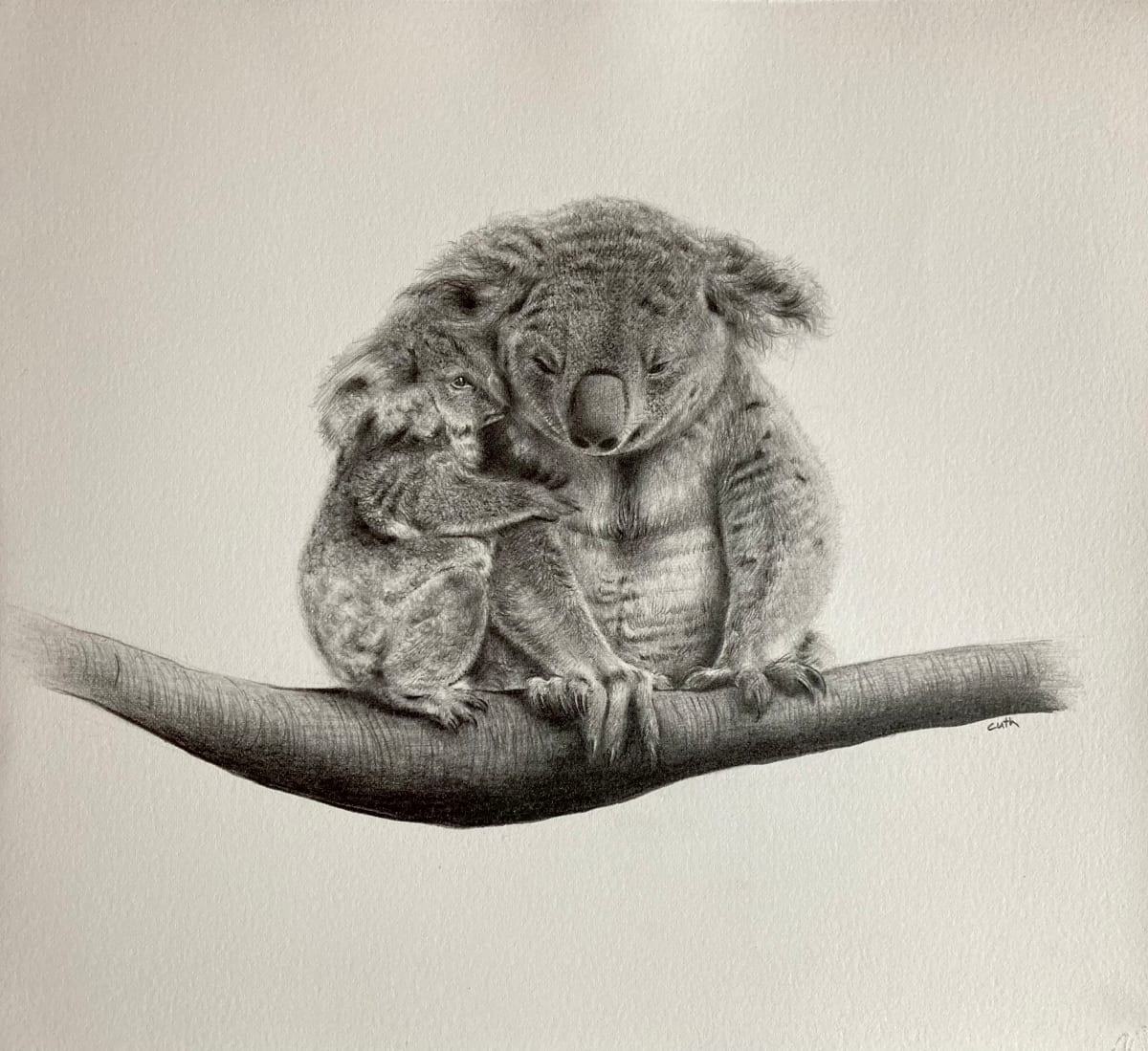Koala Mum and Joey by Emese Cuth  Image: Photo credit: Windzepher (https://www.istockphoto.com/portfolio/Windzepher)