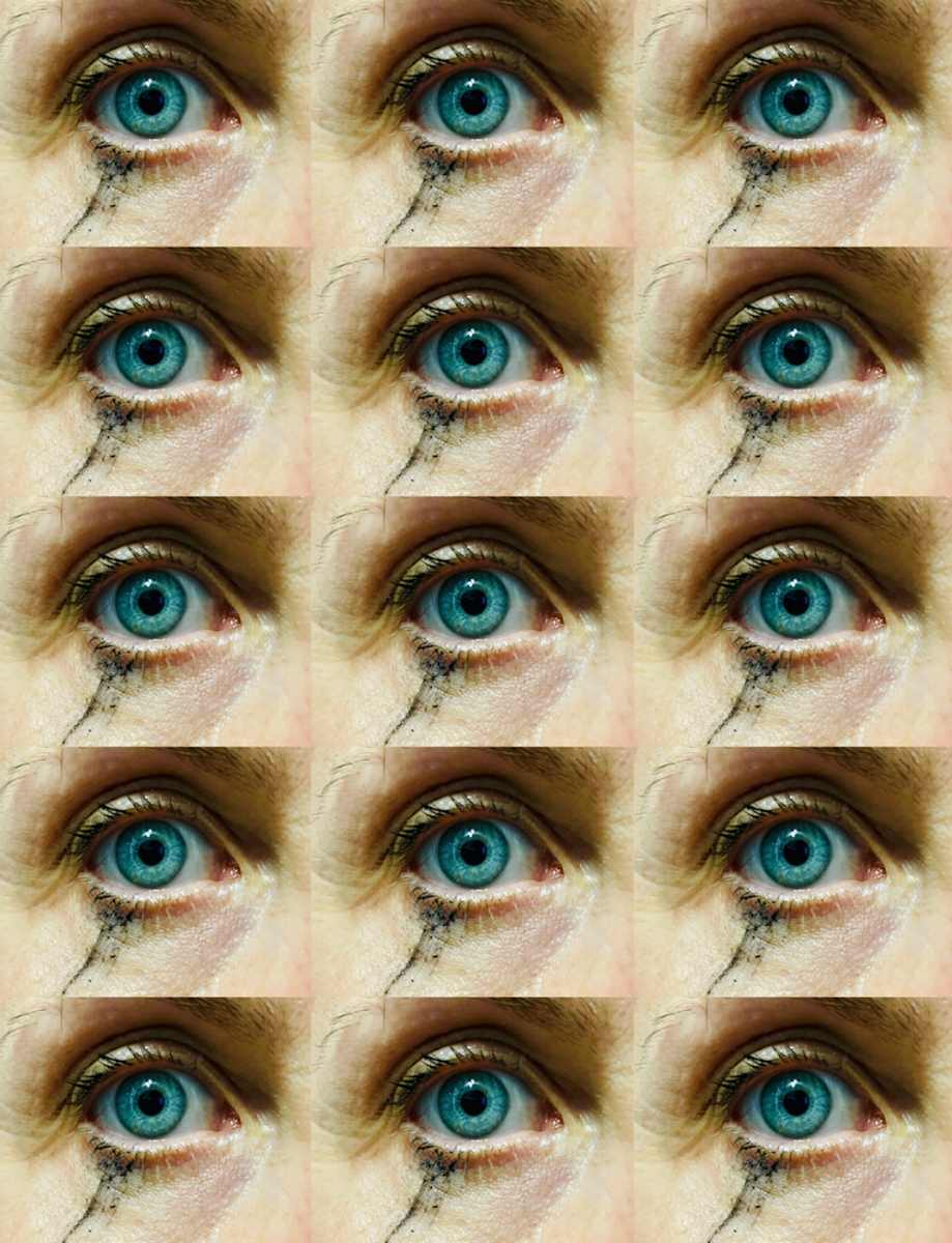 Peacock by Elodie PALFER-SOLLIER 