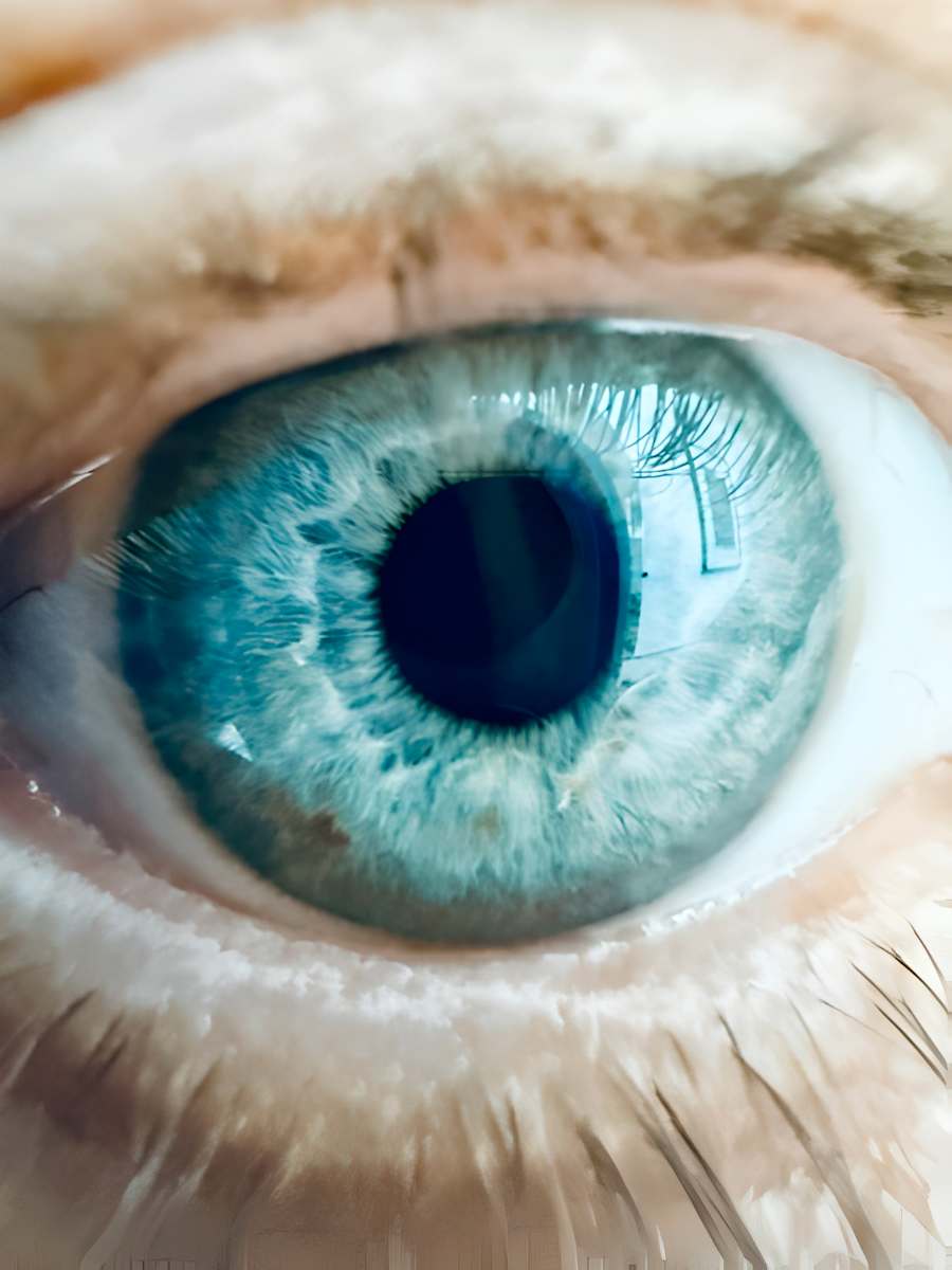 Beyond the blue by Elodie PALFER-SOLLIER  Image: Au delà du bleu, 2025